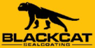 Professional sealcoating service by BlackCat Sealcoating